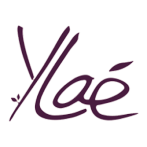 logo de Ylae